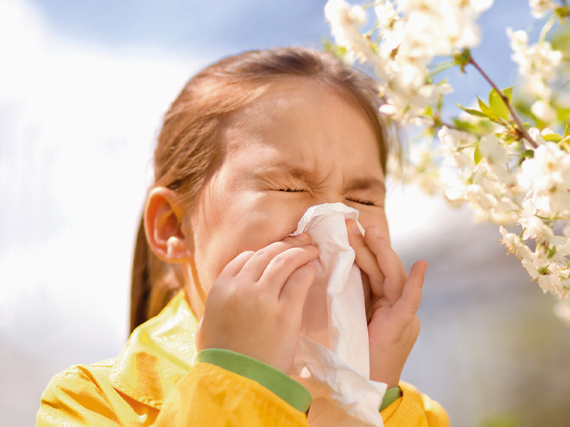 Allergia alle graminacee: sintomi, diagnosi e reazioni con alimenti