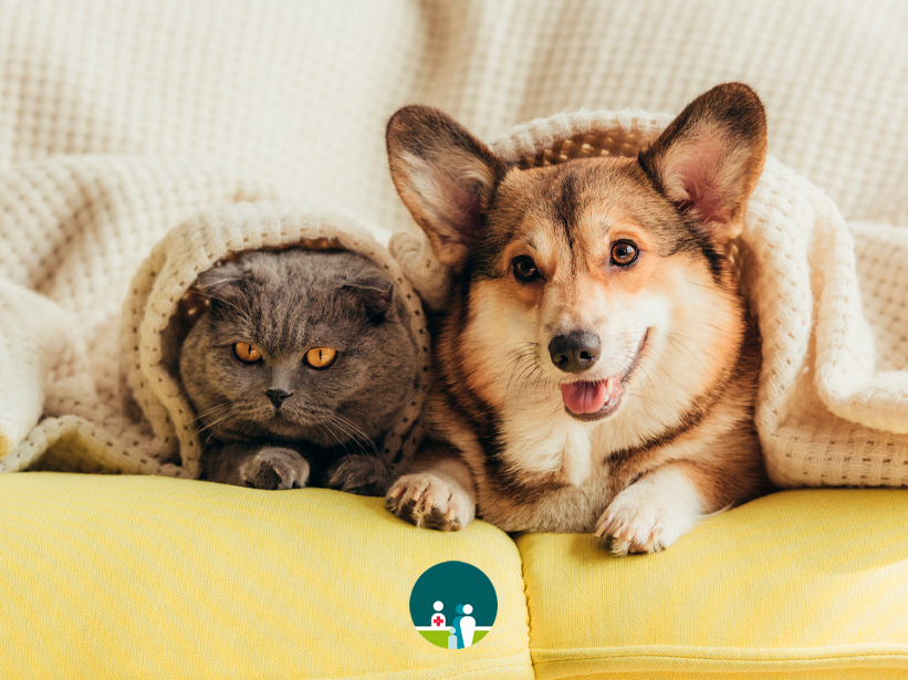 Antiparassitari veterinari: efficacia, sicurezza e nuove frontiere